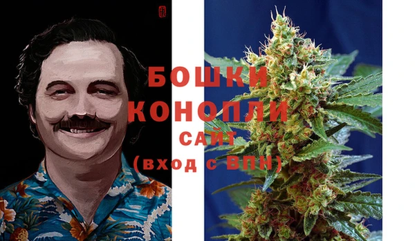 COCAINE Белокуриха