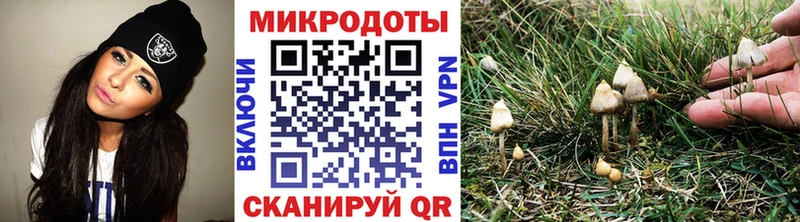 kraken ONION  закладки  Облучье  Галлюциногенные грибы MAGIC MUSHROOMS 